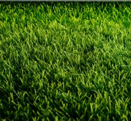 lawn-care-Kansas-City-landscaping-hardscaping