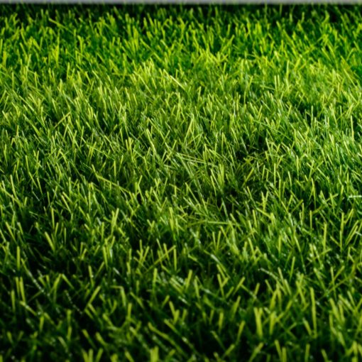 lawn-care-Kansas-City-landscaping-hardscaping