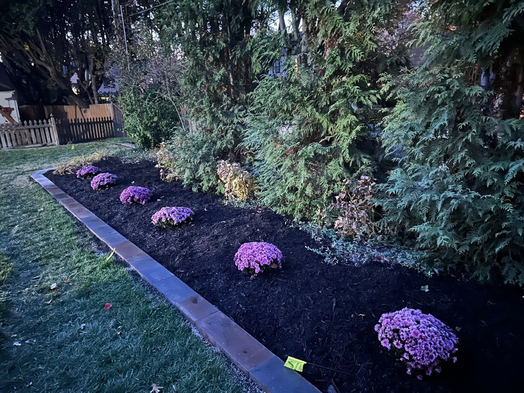 landscaping-hardscaping-lawn-care-Overland-Park-Kansas-City-Leawood