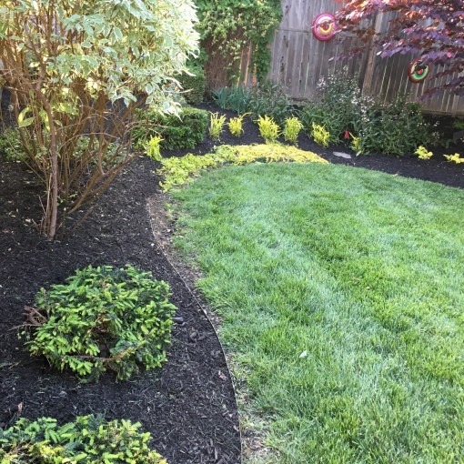 Kansas-City-landscape-landscaping-company-Overland-Park