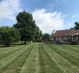 lawn-care-landscaping-Kansas-City-Belton-Raymore-MO