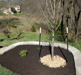 landscape-landscaping-installation-design-Kansas-City-Overland-Park