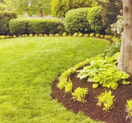landscape-contractor-landscaping-company-Kansas-City