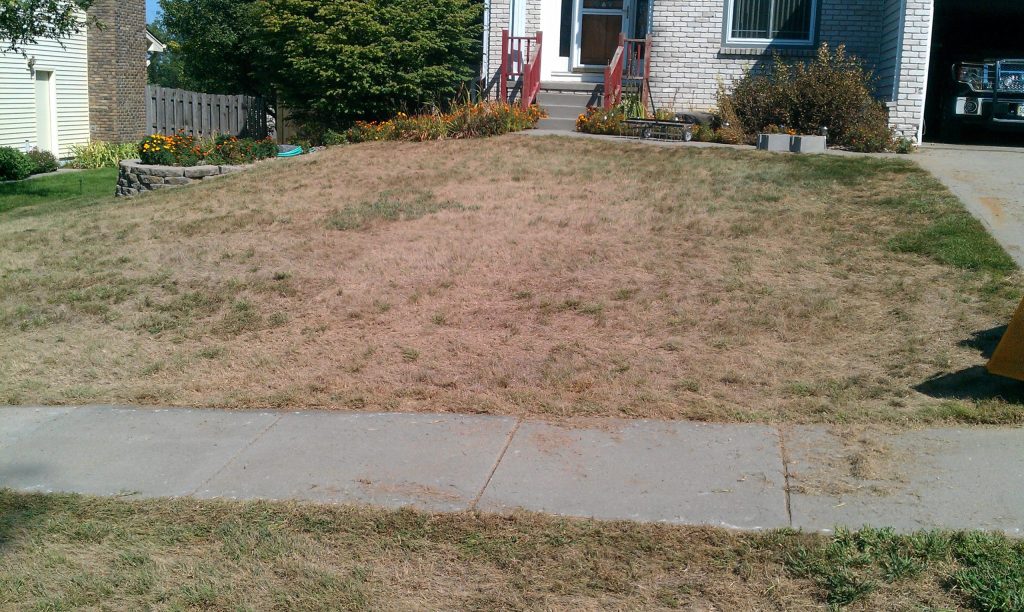 Lawn-Lawncare-Grass-verticut-aerate-renovation-restoration2