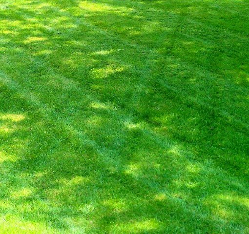 lawn-care-mowing-landscaping-Kansas-City-Overland-Park-Raymore