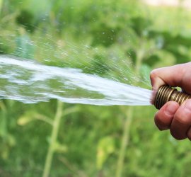 lawn-care-summer-watering-tips
