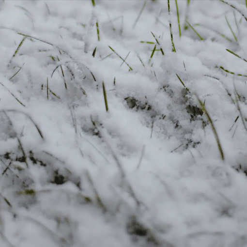 Kansas-City-Leawood-Overland-Park-lawn-care-landscaping